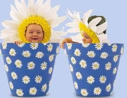 Daisy Day Care Nursery Daisy Day Care Nursery